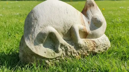 Zahradní socha chameleón